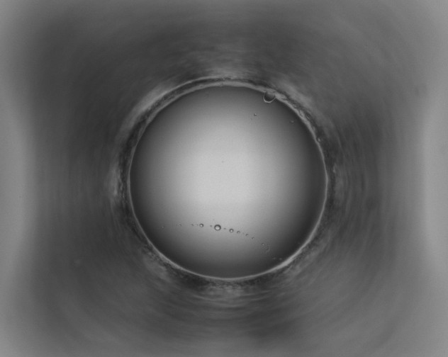 X0000113261215200909101452