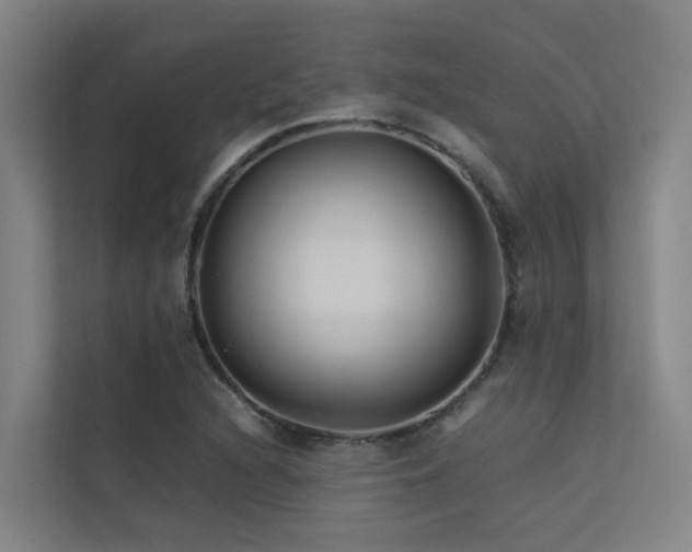 X0000113261216200909101452