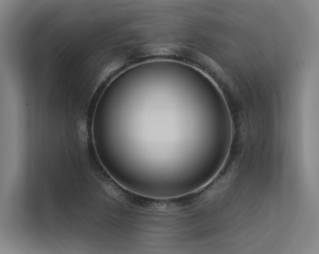 X0000113261218200909101452