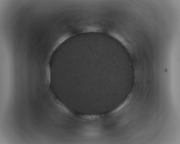 X0000113261219200909101452