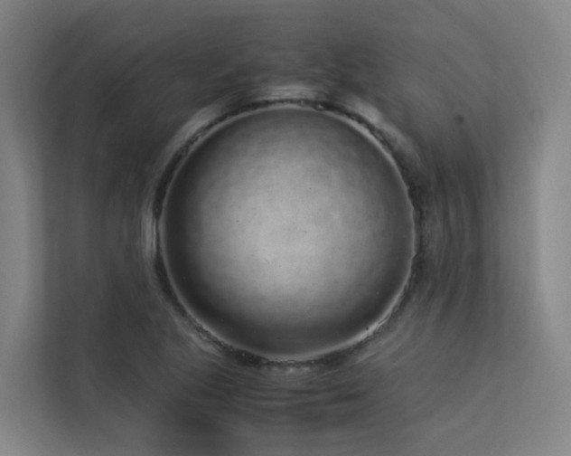 X0000113261221200909101452