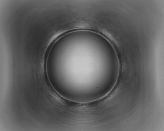 X0000113261222200909101452