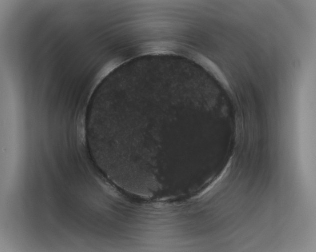 X0000113261226200909101452