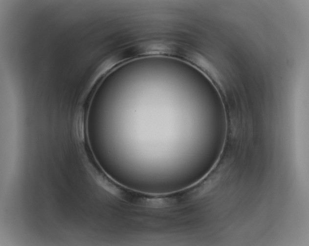 X0000113261227200909101452