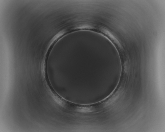 X0000113261229200909101452