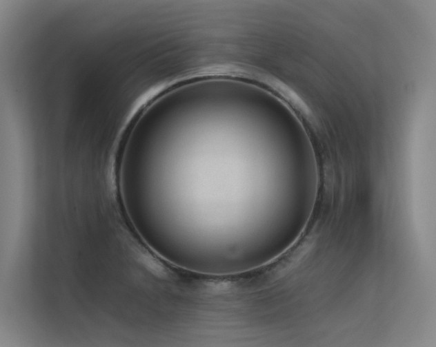 X0000113261230200909101452