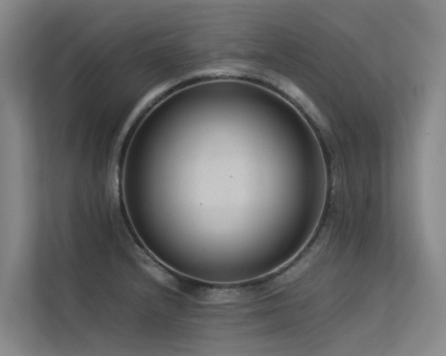 X0000113261232200909101452