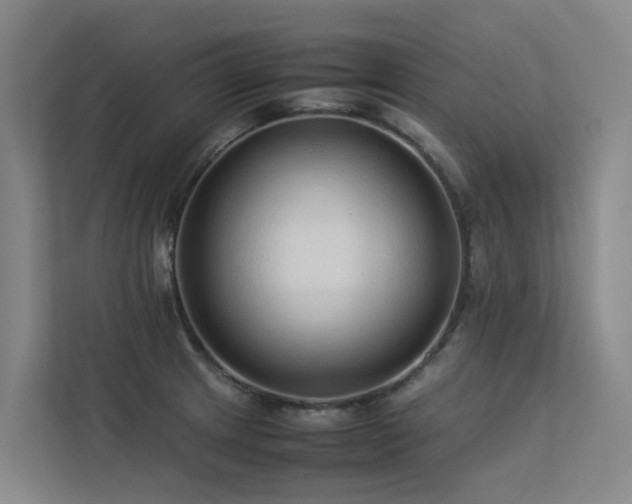 X0000113261233200909101452