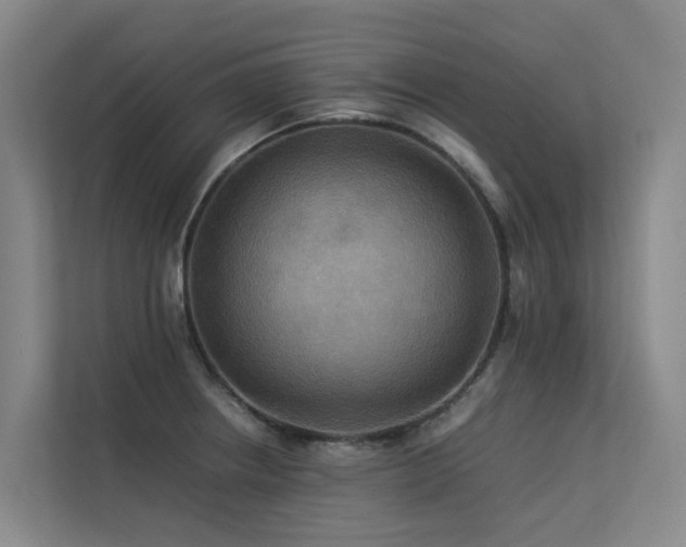 X0000113261234200909101452