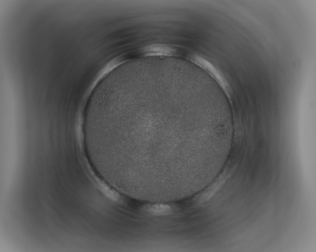 X0000113261235200909101452