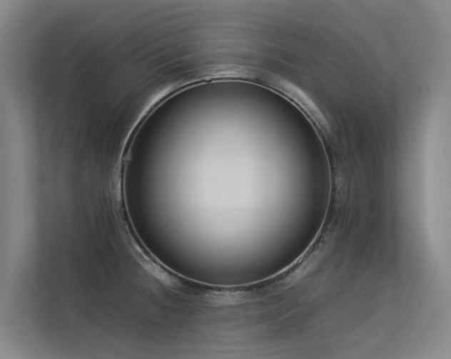 X0000113261236200909101452