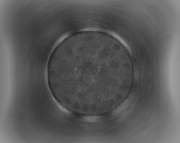 X0000113261237200909101452