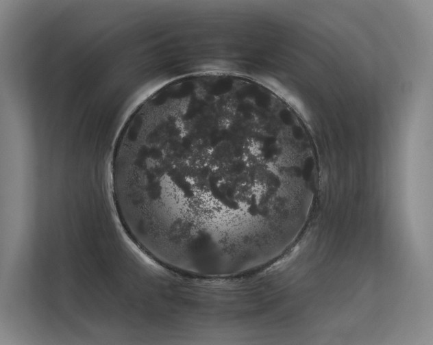 X0000113261239200909101452