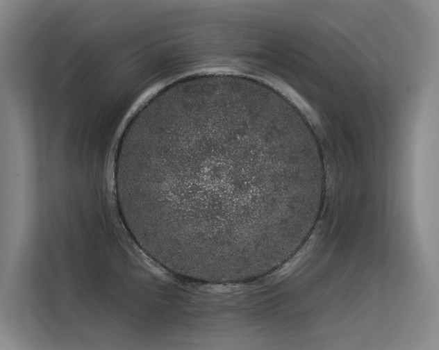 X0000113261240200909101452