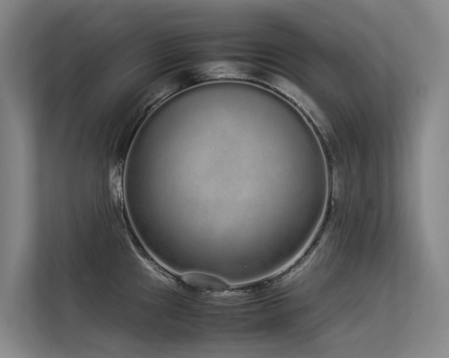 X0000113261241200909101452