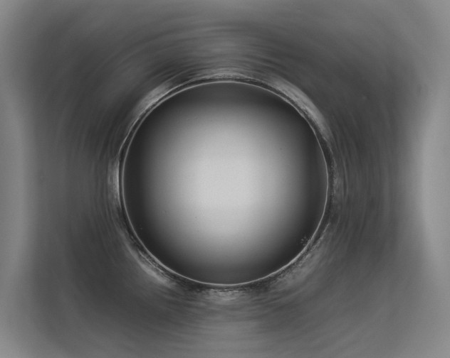 X0000113261242200909101452