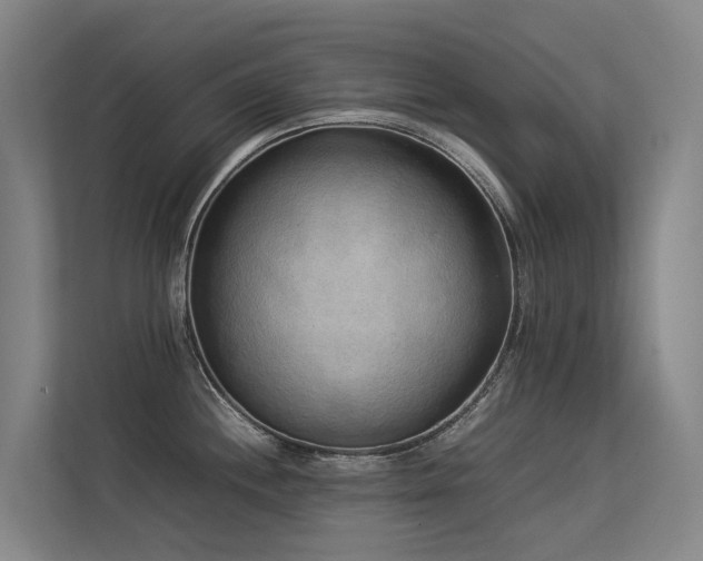 X0000113261244200909101452