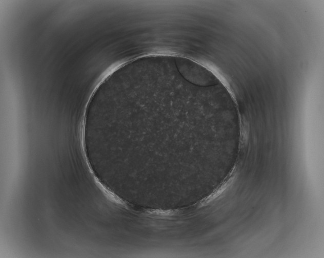 X0000113261245200909101452