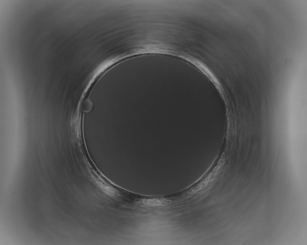 X0000113261246200909101452