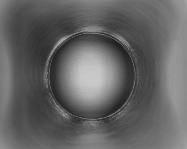 X0000113261248200909101452