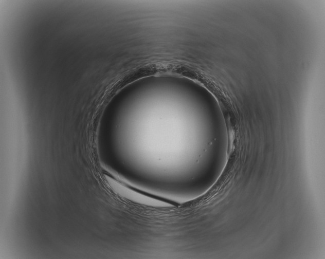 X0000113261249200909101452