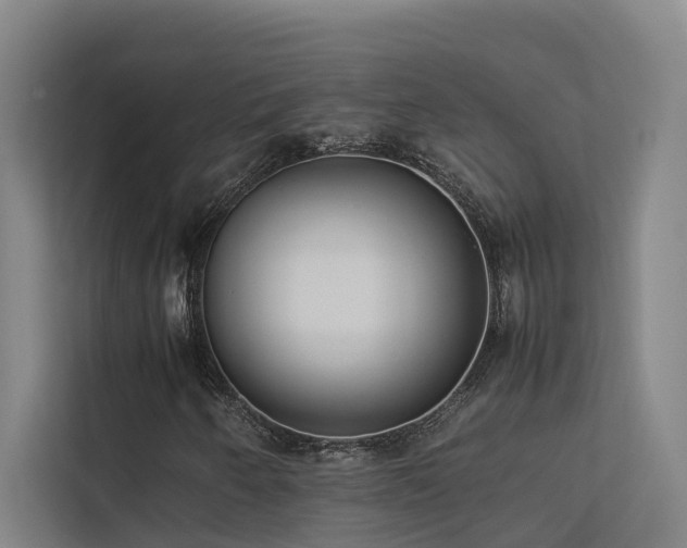 X0000113261250200909101452