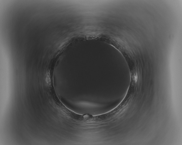 X0000113261252200909101452