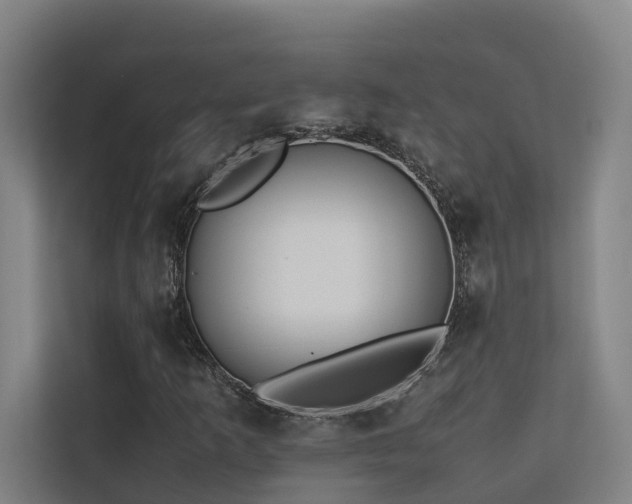 X0000113261253200909101452