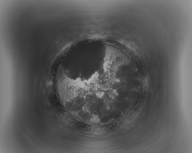 X0000113261254200909101452