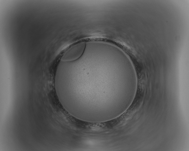 X0000113261255200909101452