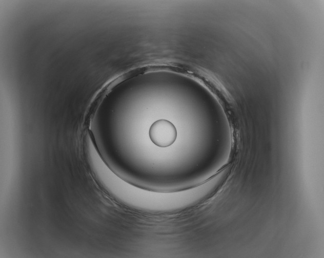 X0000113261260200909101452