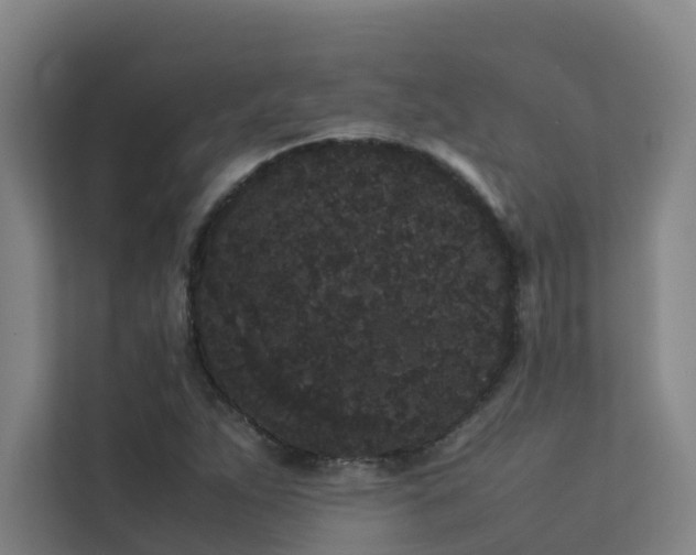 X0000113261263200909101452