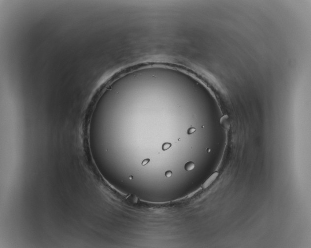 X0000113261264200909101452