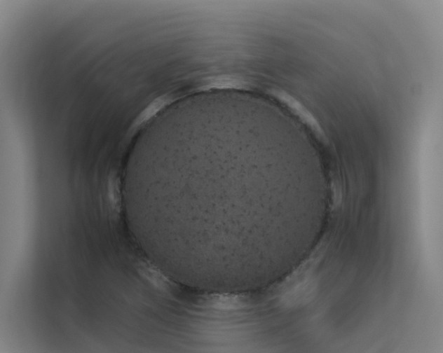 X0000113261266200909101452