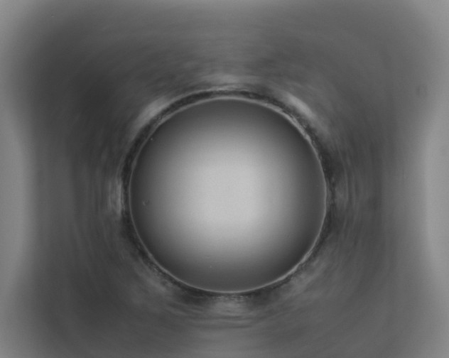 X0000113261267200909101452