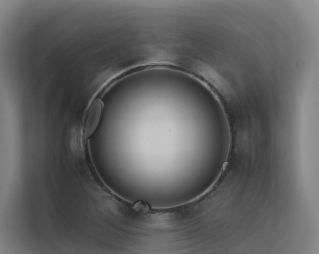 X0000113261268200909101452