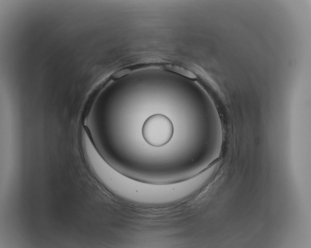 X0000113261269200909101451