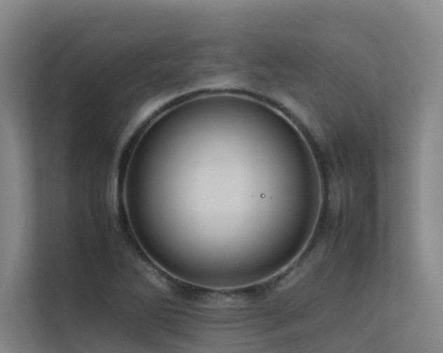 X0000113261270200909101451