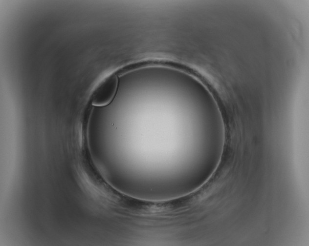 X0000113261271200909101451