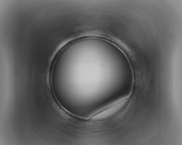 X0000113261272200909101451