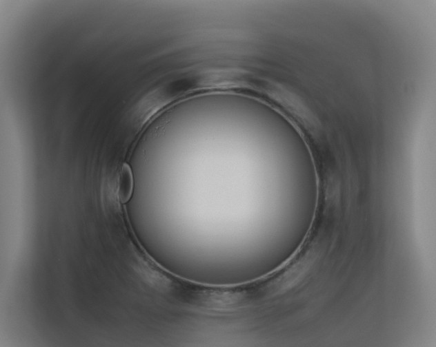 X0000113261273200909101451