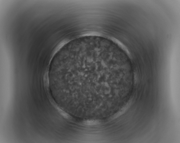 X0000113261274200909101451