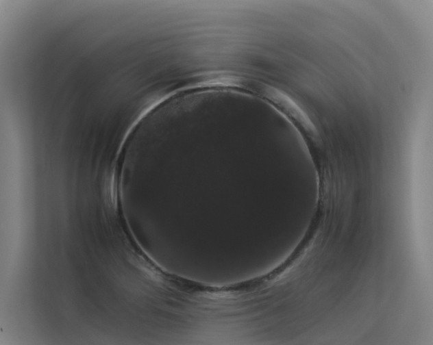 X0000113261276200909101451