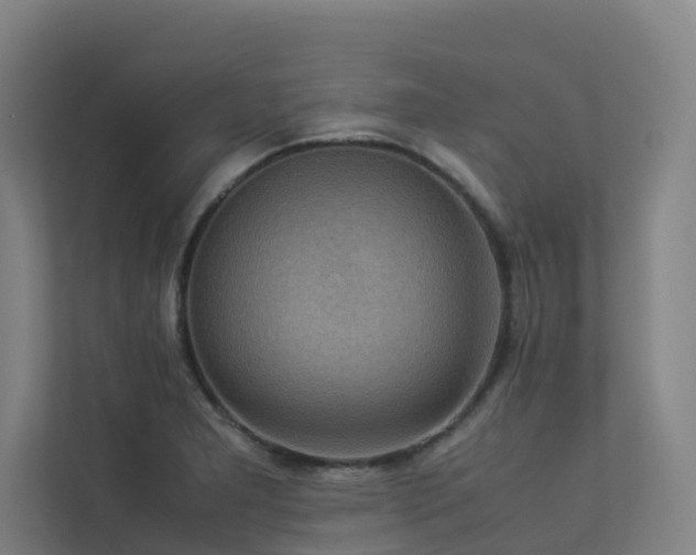 X0000113261277200909101451