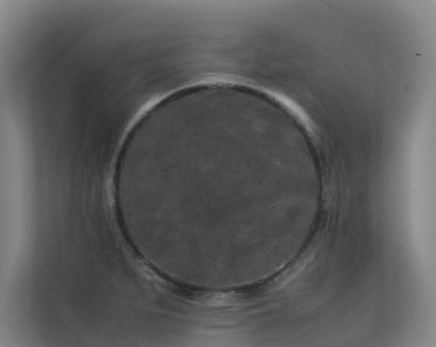 X0000113261279200909101451