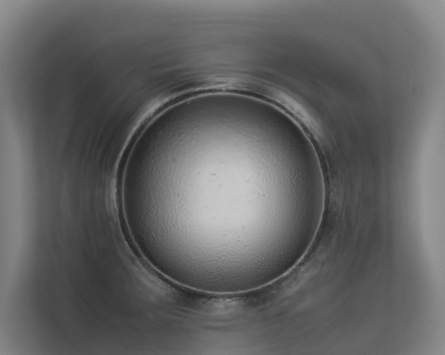 X0000113261283200909101451