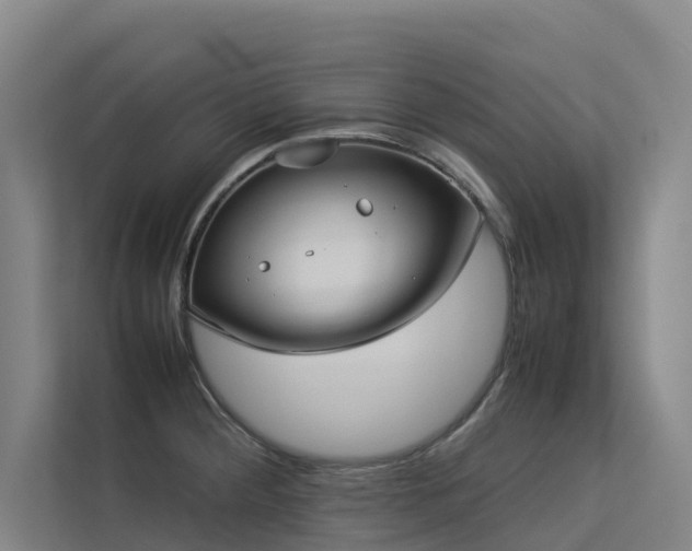 X0000113261284200909101451