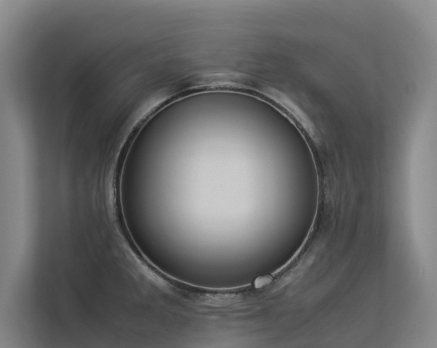 X0000113261285200909101451