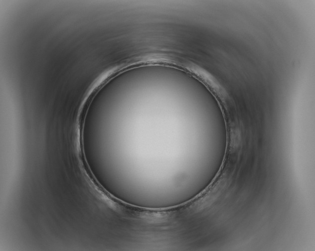 X0000113261286200909101451