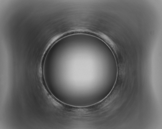 X0000113261287200909101451